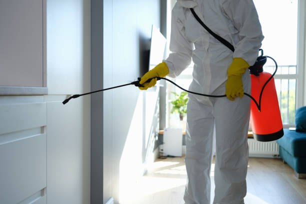 Best White Mold Remediation in Fredericktown, OH